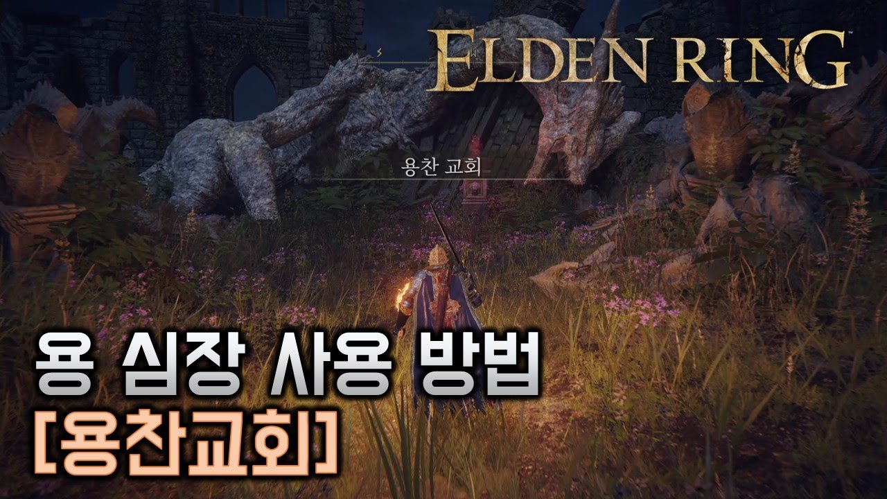 엘든 링 [elden ring] 용 심장 사용 방법 공략 [용찬교회]