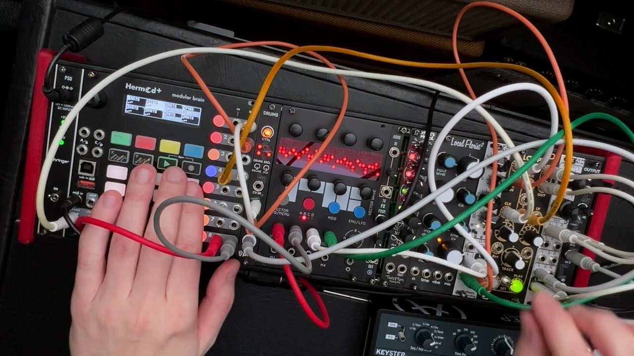 RYK Modular Vector Wave - One Voice Loops