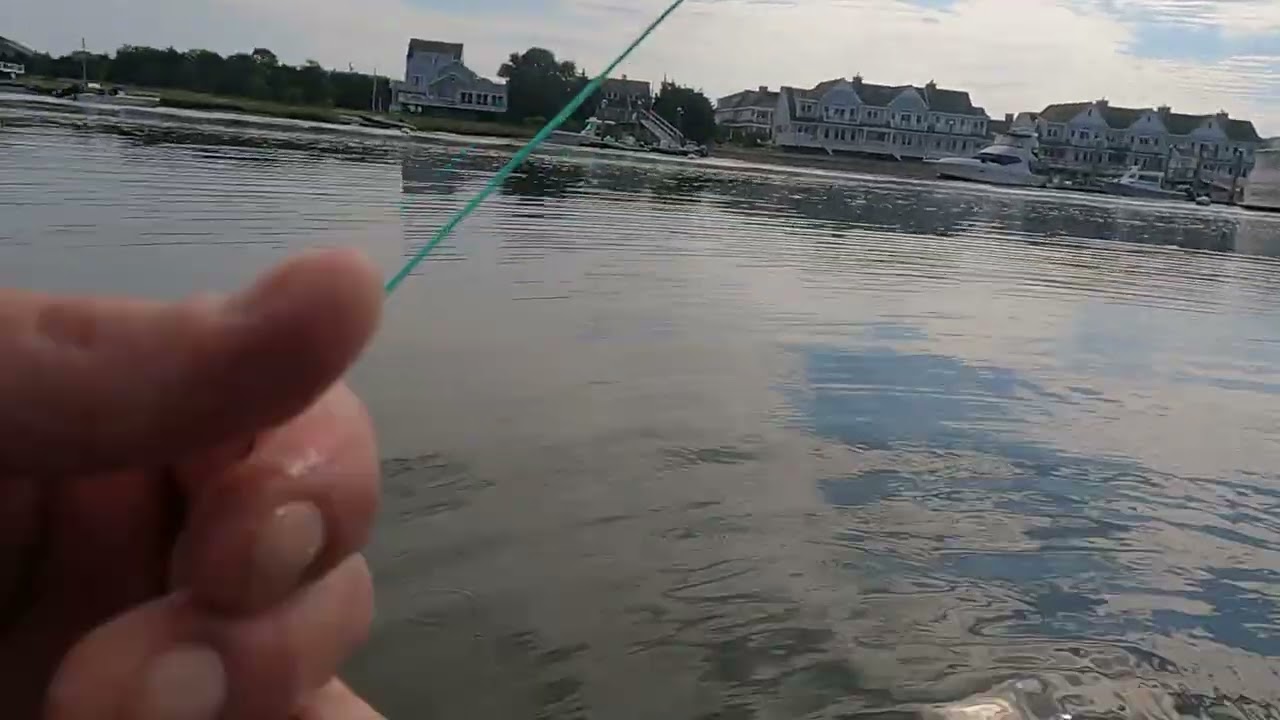 Flounder? On a fly rod?