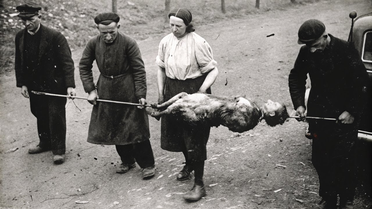 These 120 UNBELIEVABLE Old Images Reveal History's DARKEST SECRETS