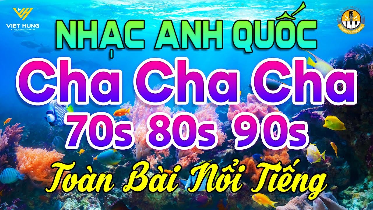 LK ChaChaCha Melody Anh Quốc Toàn Bài Nổi Tiếng - Nhạc Không Lời Cha Cha Cha Kỉ Niệm Thời 7X 8X 9X