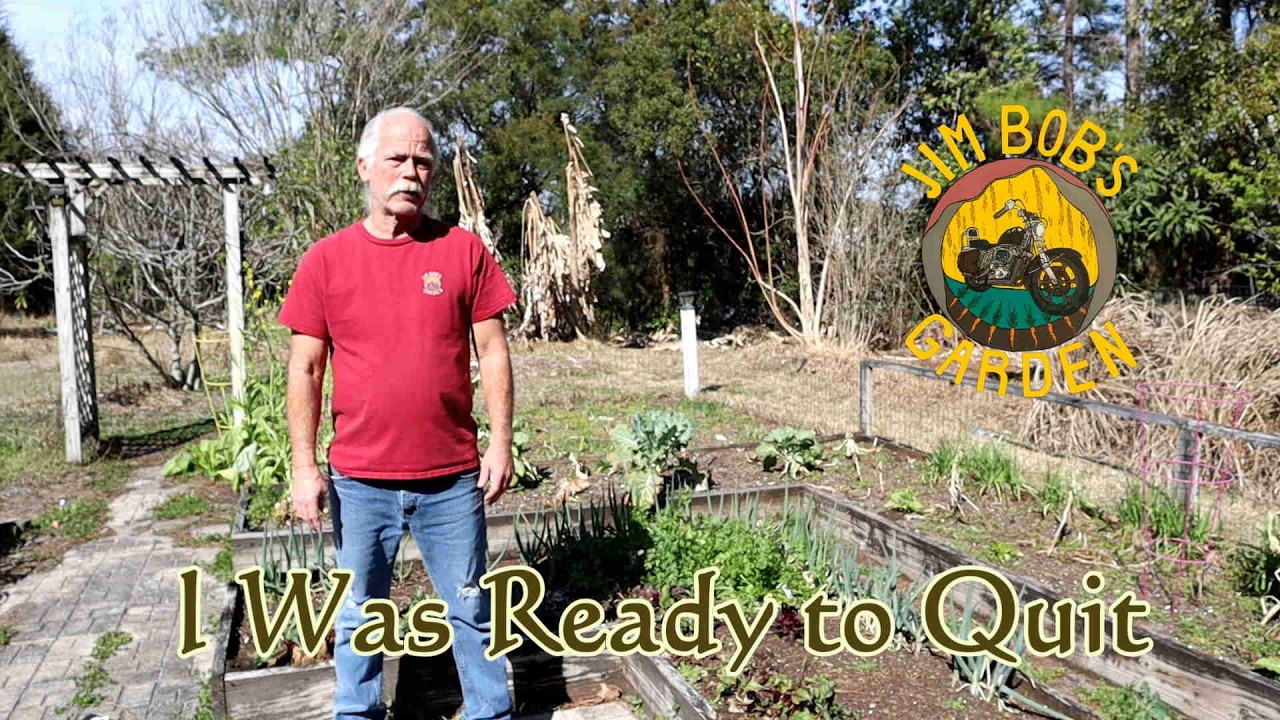 I Was Ready to Quit