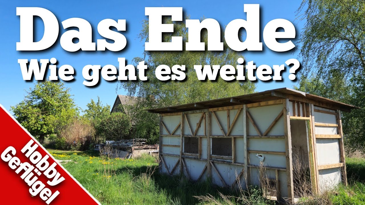 Das Ende oder der Neuanfang? | Hobby Geflügel