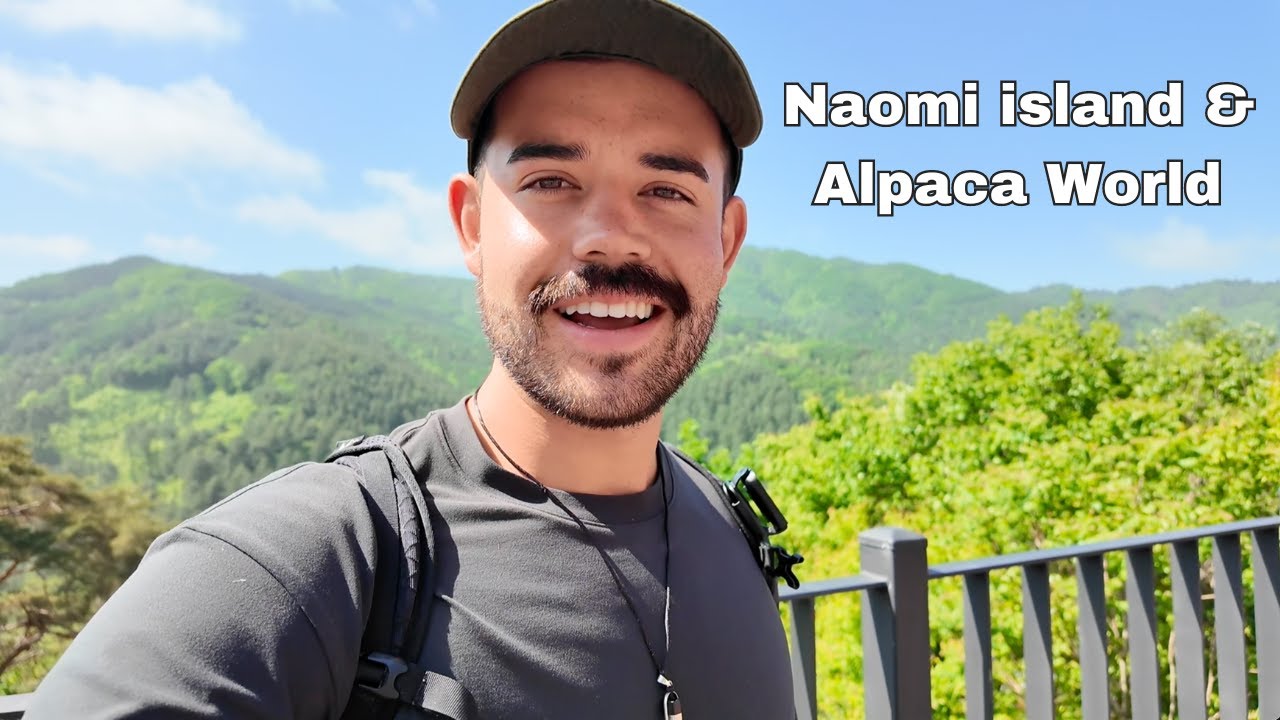 Things to do in South Korea: Naomi island & Alpaca World