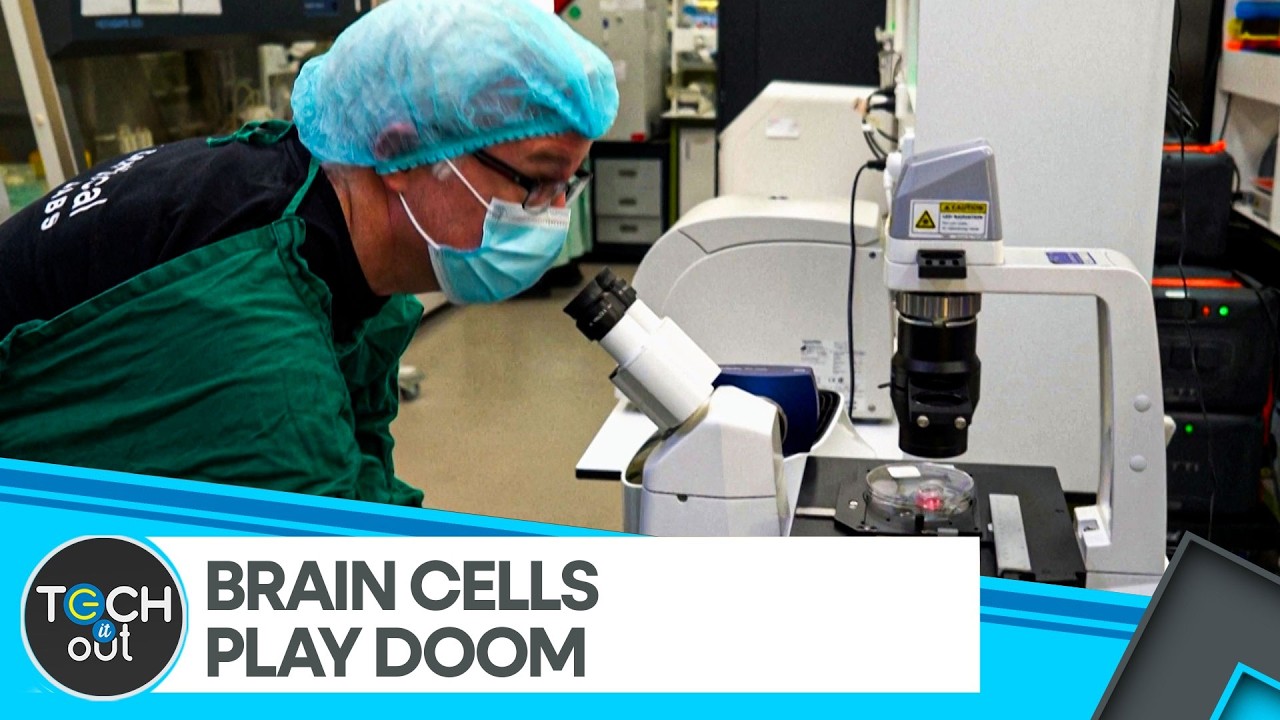 Australian Researchers Train Living Human Brain Cells To Play Doom | WION Tech It Out