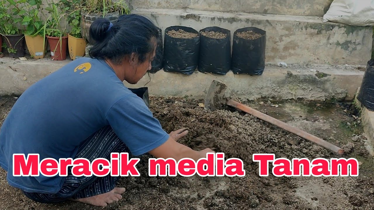 Cara Membuat media tanam