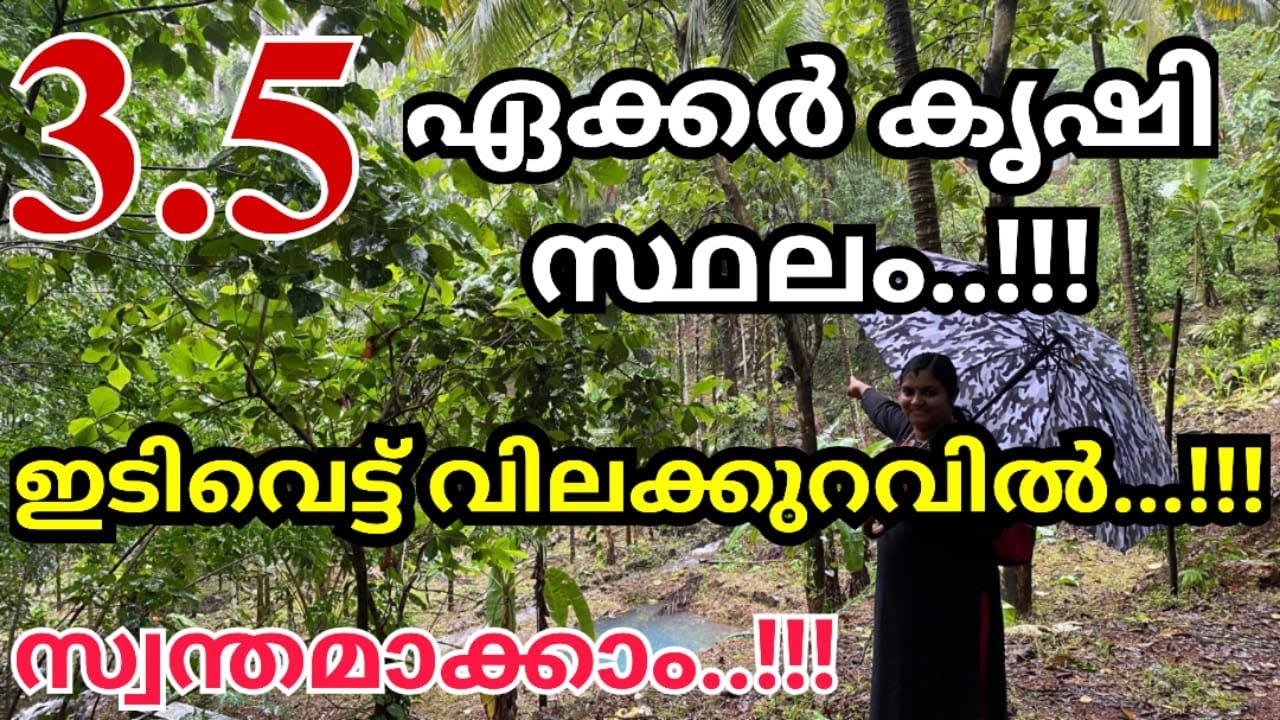നോക്കി നടത്താൻ ആളില്ലാത്ത തോട്ടം വിൽപ്പനയ്ക്ക്! ബളാലിൽ.. 3.5 ഏക്കർ വില്പ്പനയ്ക്ക്..!!!