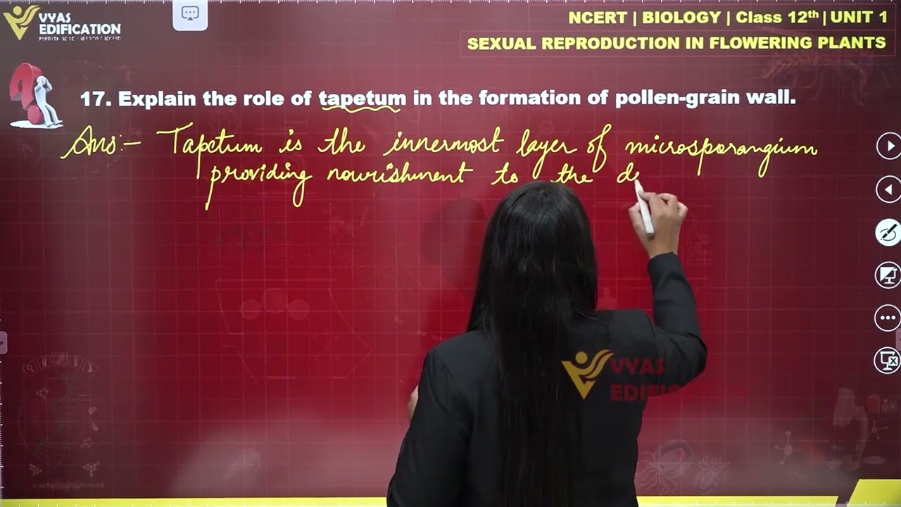 NCERT 12th Biology Unit 1 Q 17 Sexual Reproduction in flowering plants