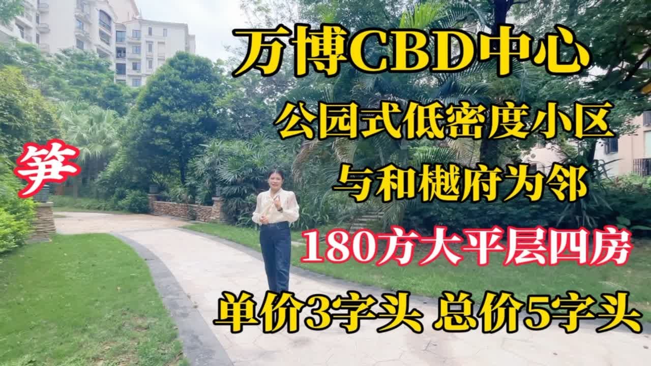 万博CBD中心5分钟步程，与和樾府为邻，总价5字头拿下180方大平层