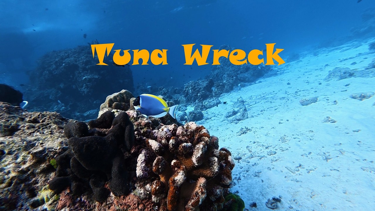 The First Descent: Tuna Wreck, Similan Islands | Blue Solitude