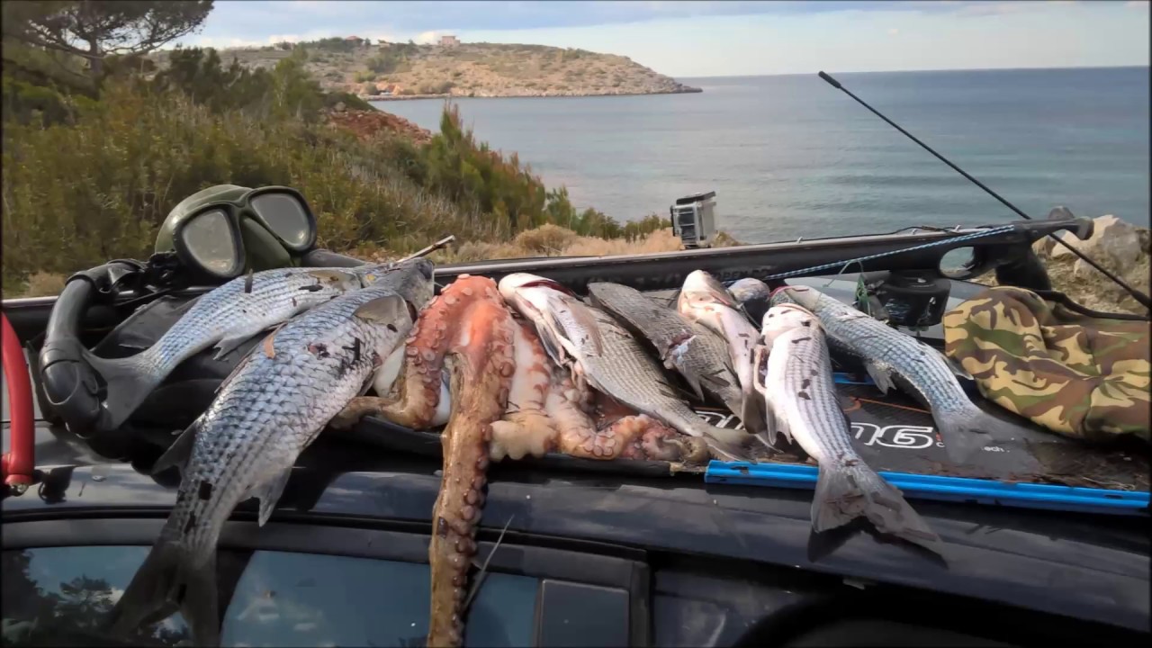 ΨΑΡΟΝΤΟΥΦΕΚΟ ΑΠΟ 0.1 ΕΩΣ 0.3 ΜΕΤΡΑ ΣΤΗΝ ΧΙΟ ..  shallow water spearfishing in Chios island