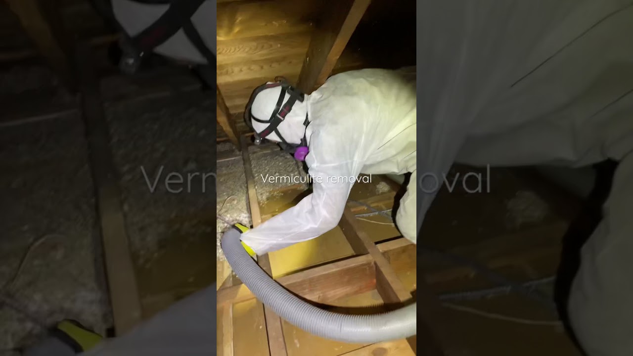 Vermiculite removal process