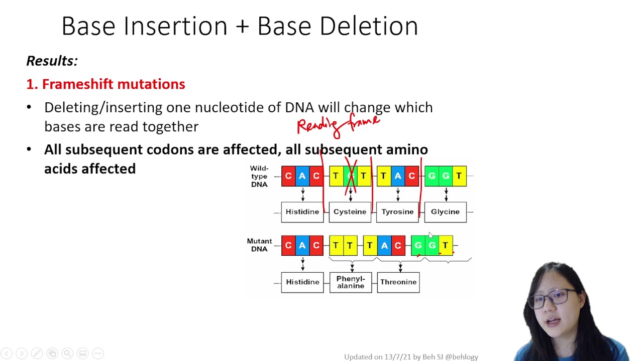 Chapter 6.2b - Mutation | Cambridge A-Level 9700 Biology
