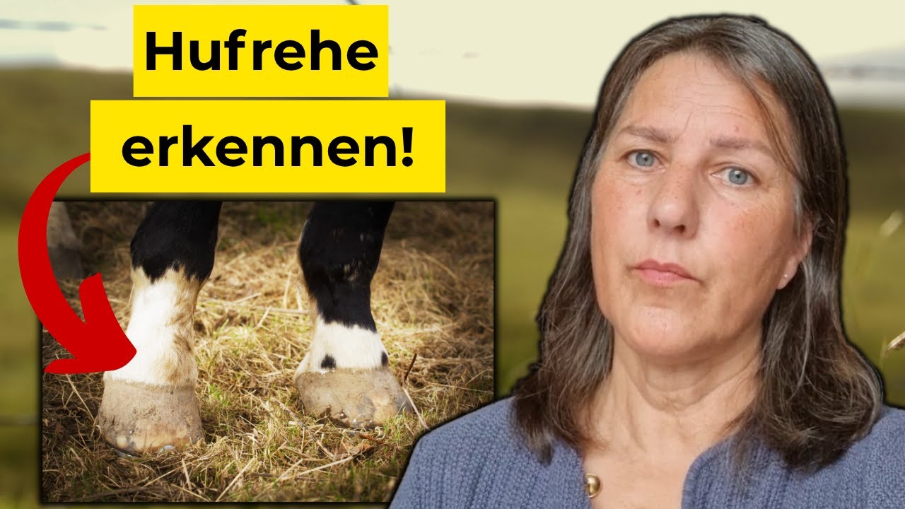 5 Warnzeichen,dass dein Pferd Hufrehe hat (schrecklich!)