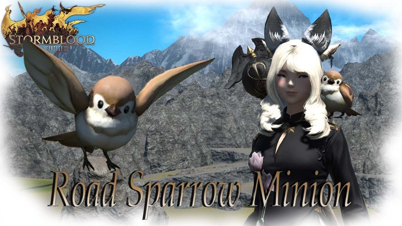 FFXIV Stormblood: Road Sparrow Minion