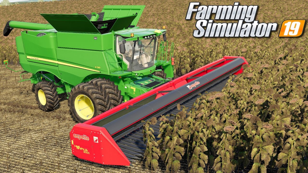 Koszenie słonecznika - Farming Simulator 19 | #77