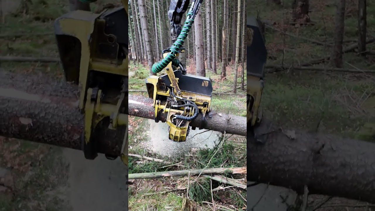Tree Felling & Precision Cutting with the Waratah H415