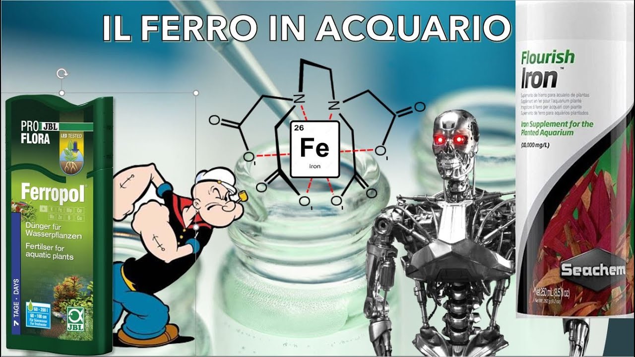 La chimica del ferro in acquario, Gluconato EDTA DTPA EDDHMA