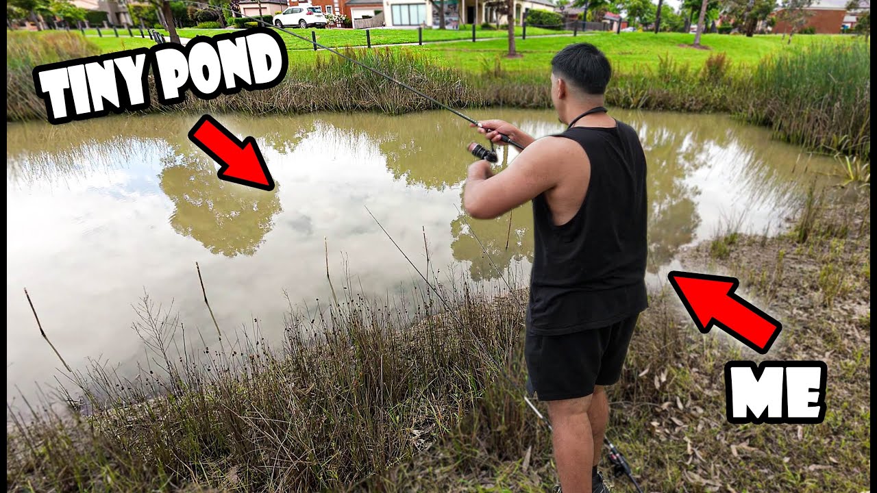 Can You Actually Catch Fish in a Puddle?