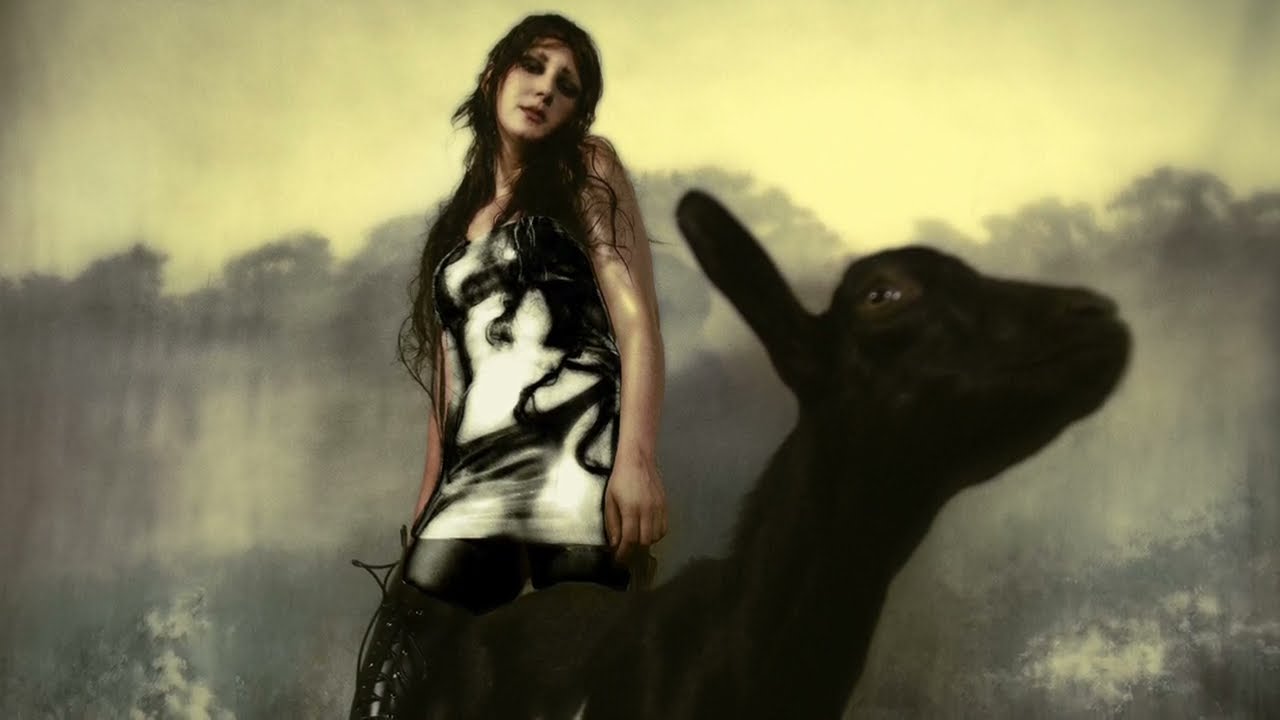 Circuit des Yeux on 'Halo on the Inside' and emotional strength