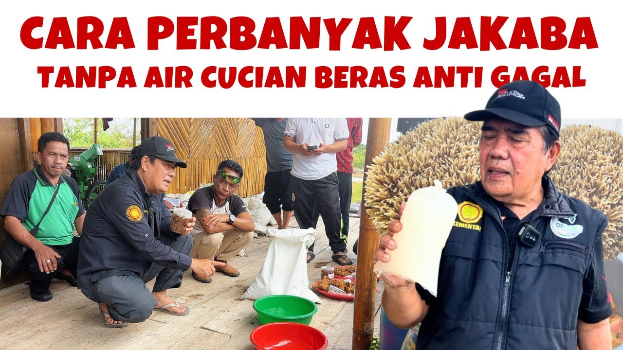 Cara Membuat JAKABA Anti Gagal