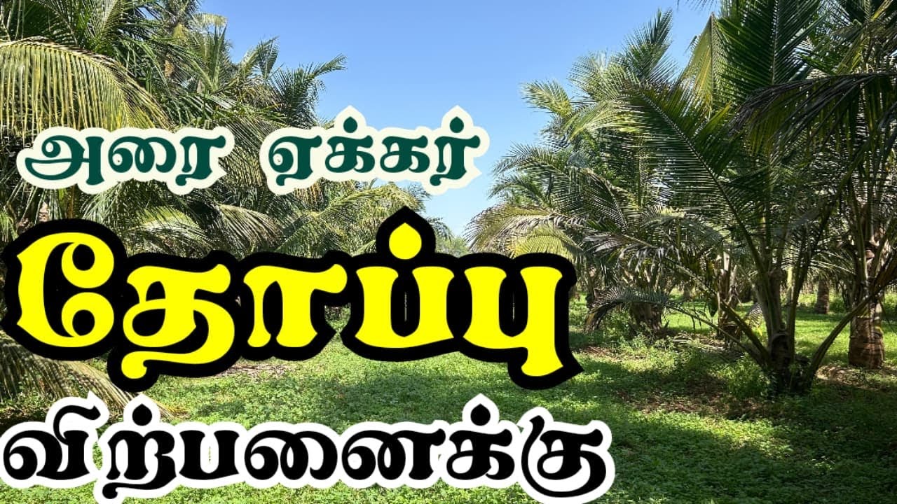 அரை ஏக்கர்(55 சென்ட்) தோப்பு விற்பனைக்கு