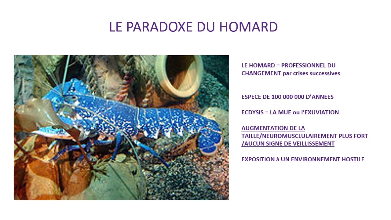 Management de crise, comment faire face et rebondir ?