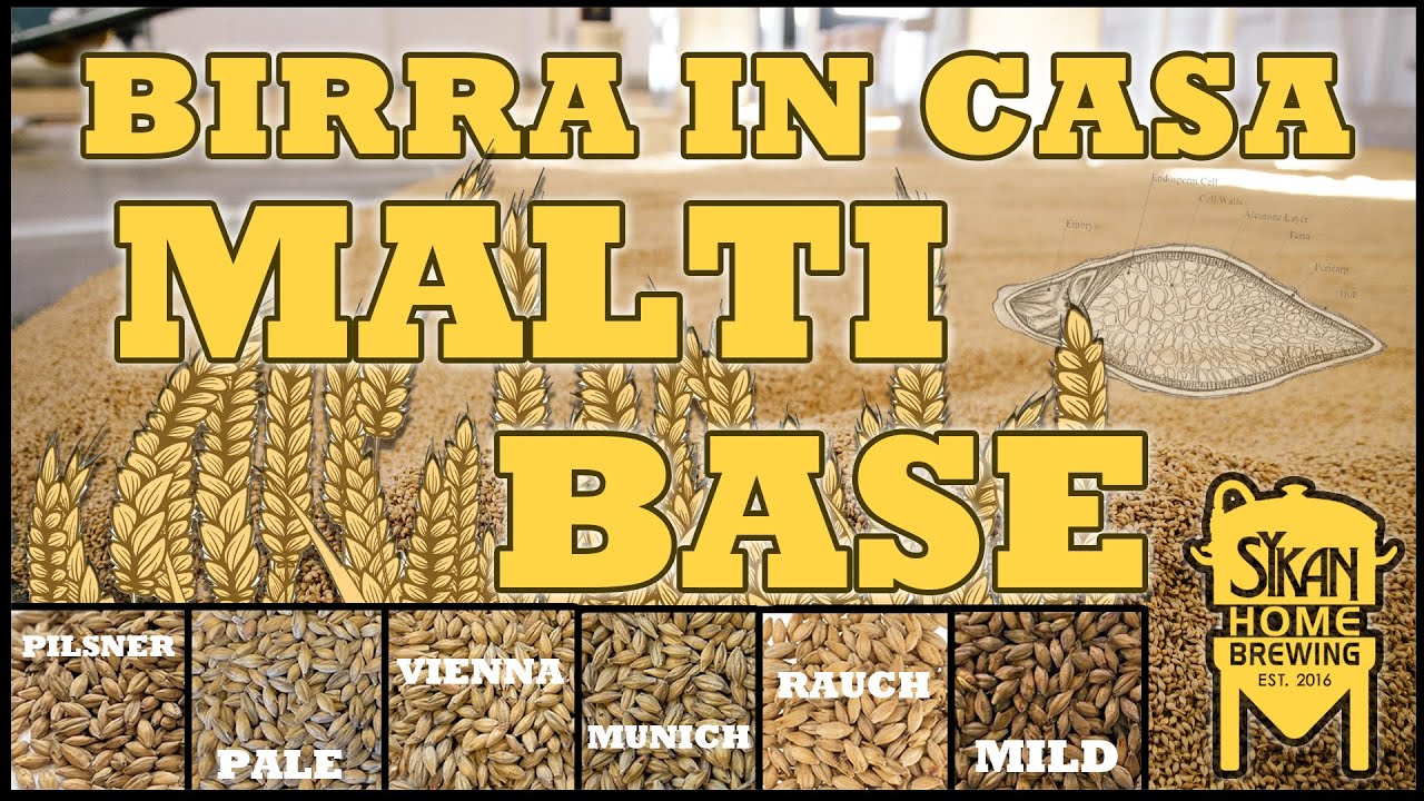 I MALTI BASE | Quali sono e come sceglierli | COME fare la BIRRA in CASA