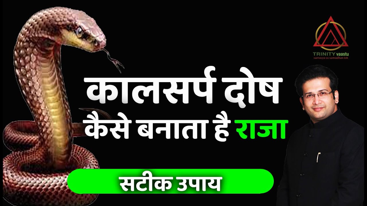 कालसर्प दोष कैसे बनाता है राजा I Kal Sarp Dosh Ke upay #horoscope #astrology  #kalsarpdosh