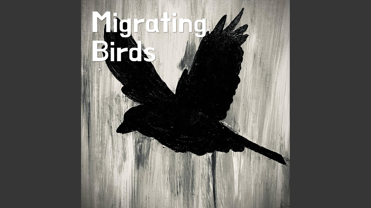 Migrating Birds