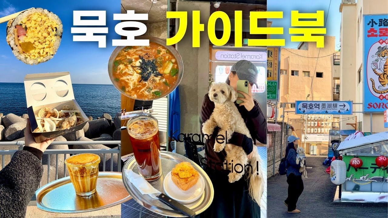 🌊나혼자 묵호여행 당일치기!! 🐶강아지동반+오션뷰 기차 꿀팁+필수맛집!!!