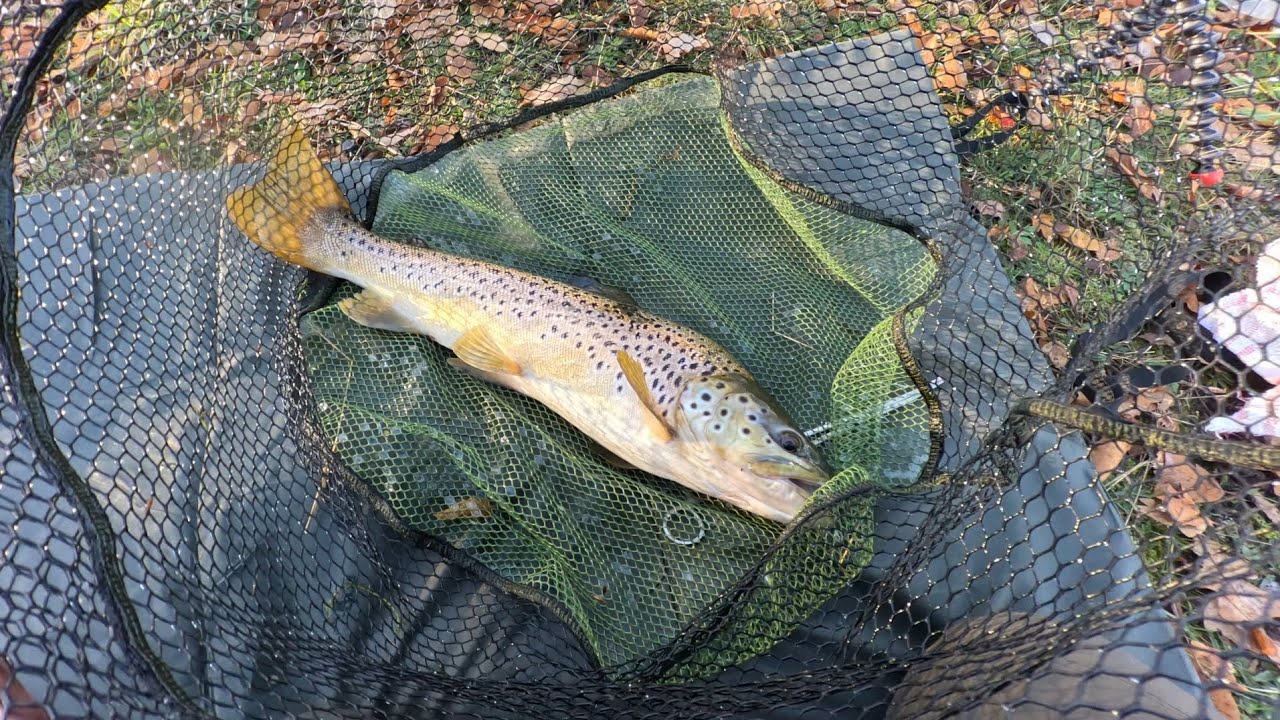 FiSHING FOR PIKE IN THE SCOTTISH BOARDERS .