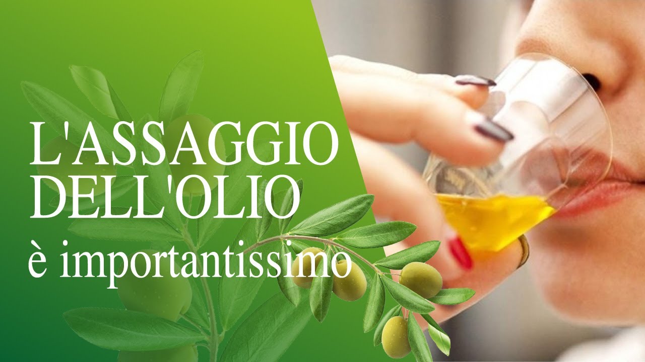 L'assaggio dell'olio è importantissimo