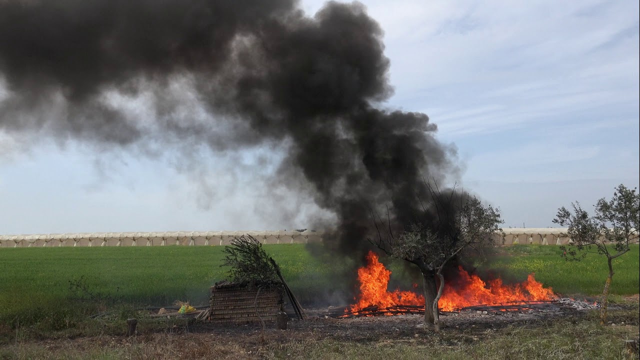 Incendio plastica agricola a Rutigliano