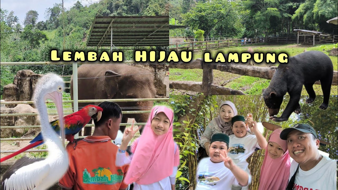WISATA SATWA LEMBAH HIJAU LAMPUNG || ACARA PARENTING & GATHERING SD AL AZHAR 2
