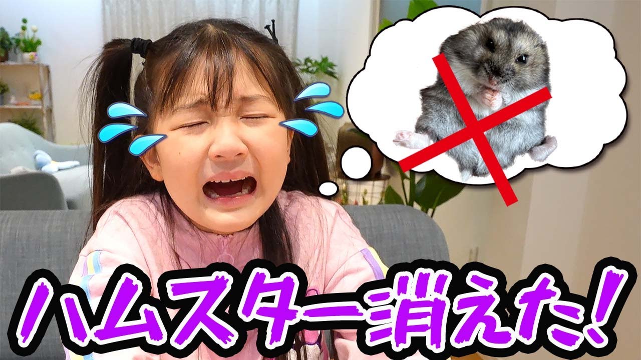 😭ある日突然～！家のハムスターがいなくなった！🐹 - はねまりチャンネル
