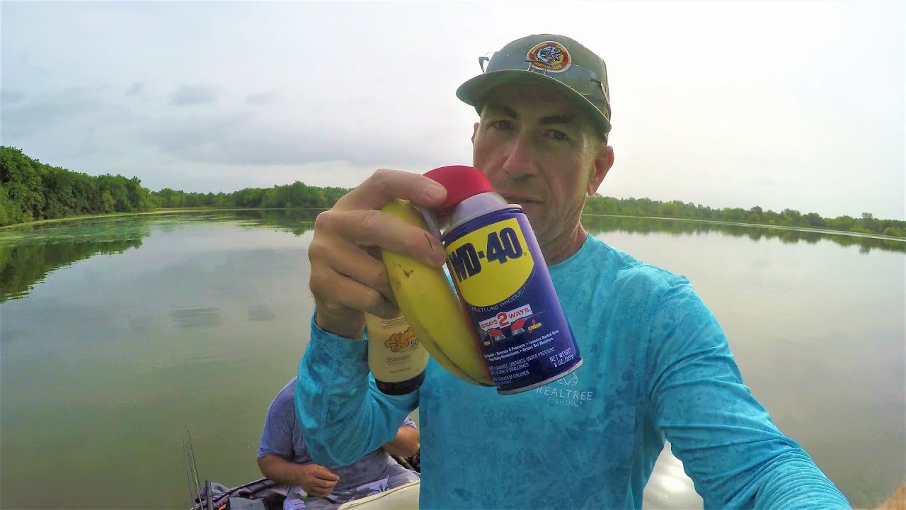 BFS Bass Fishing Using WD 40 on your Bait Mythbusters Edition