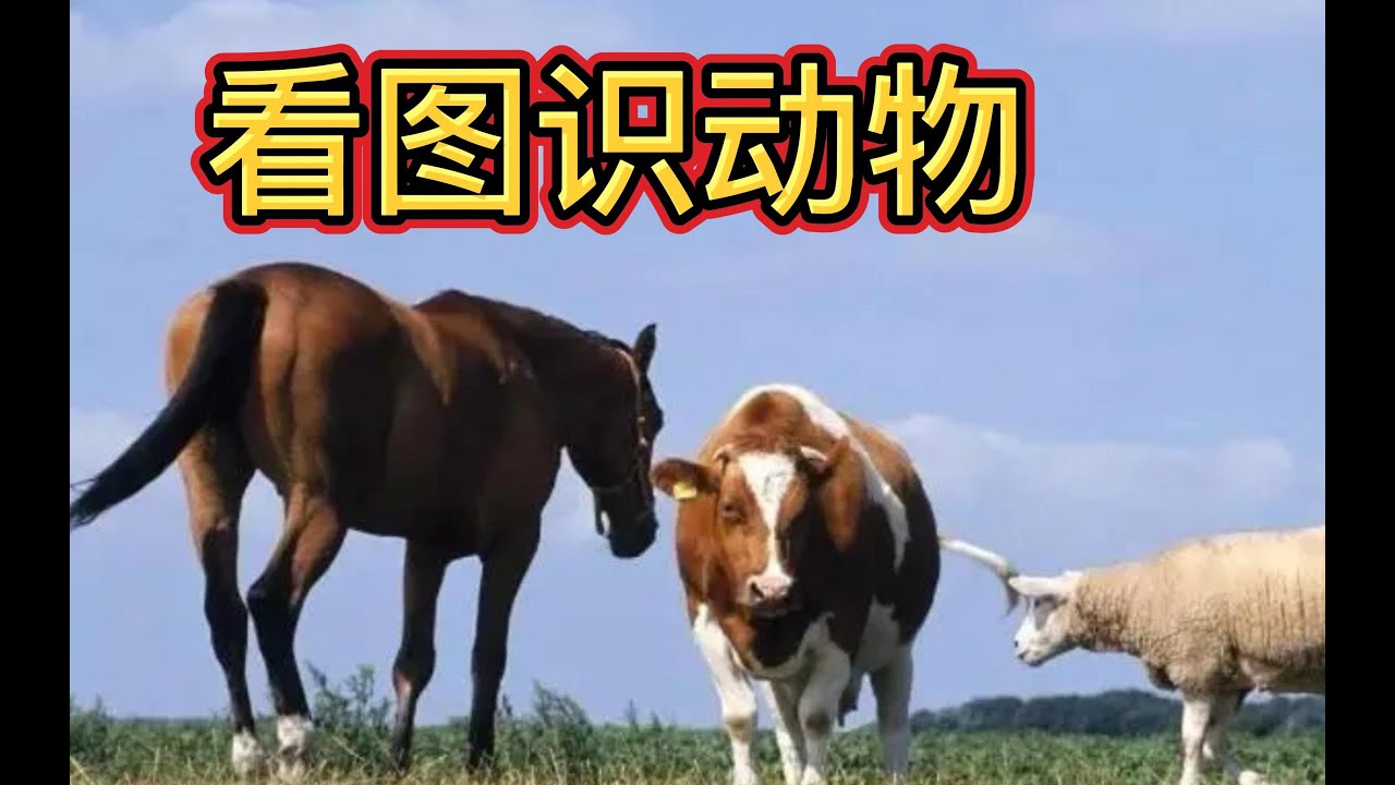 BBD解说三国杀国战 牛马成群 武器大师 2023-02-06（新版国战）