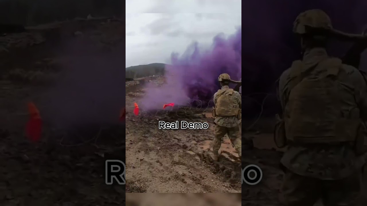 Training Demo vs Real Life Demo