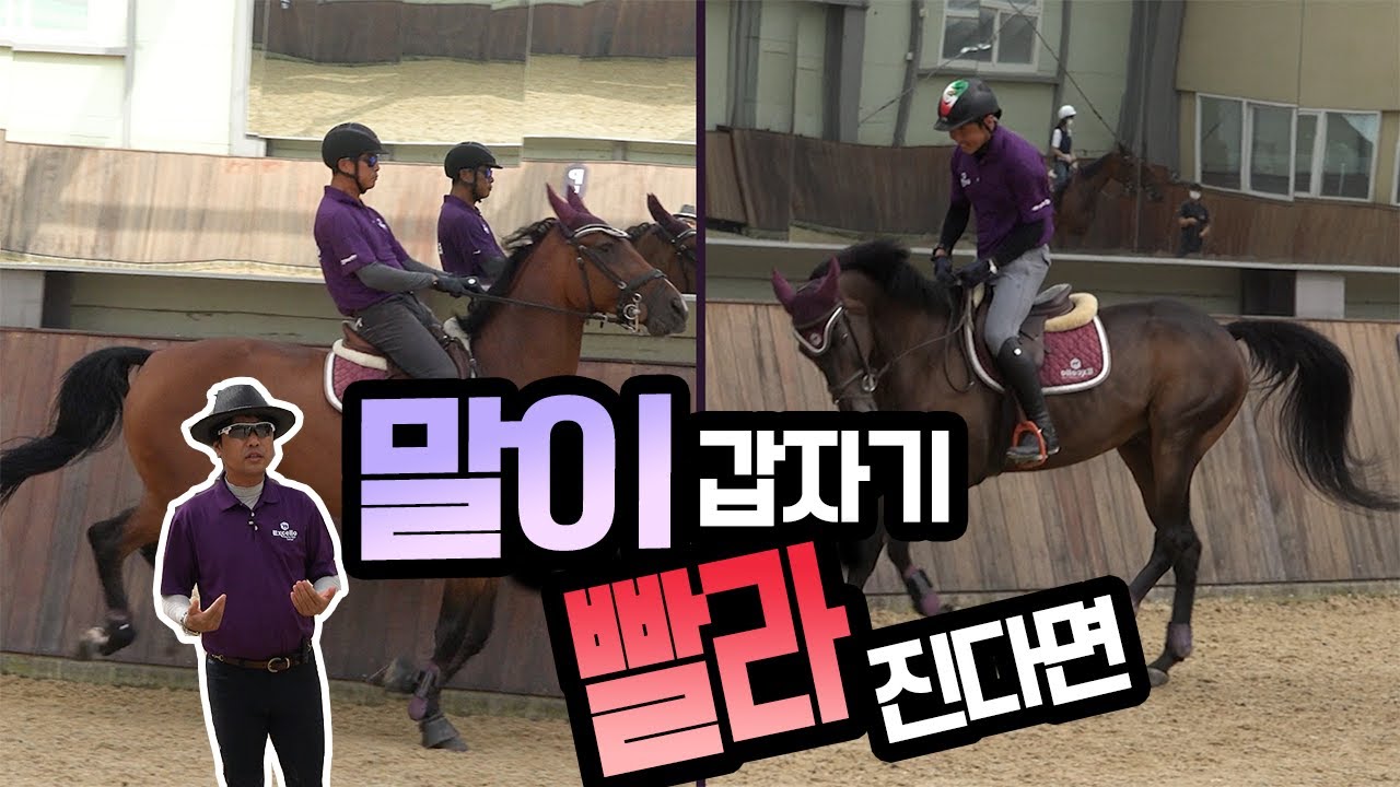 말이 갑자기 빨리 달리면... (-구보 속보 튀는말 잡기) [엑셀로 승마 꿀팁 제10화]