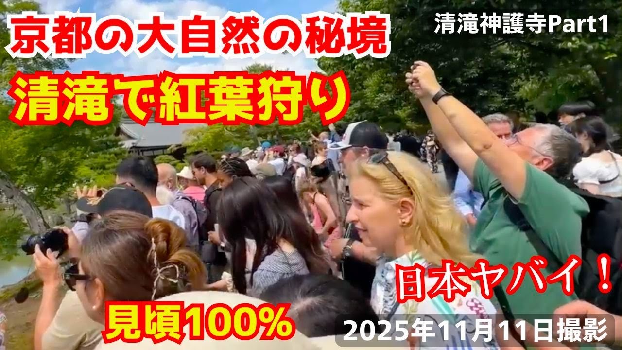 嵐山から30分の清流の秘境である清滝のヤバすぎる紅葉に外国人観光客が涙腺崩壊しそうになる