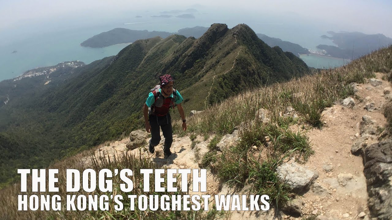 The Dog’s Teeth | Toughest Walks