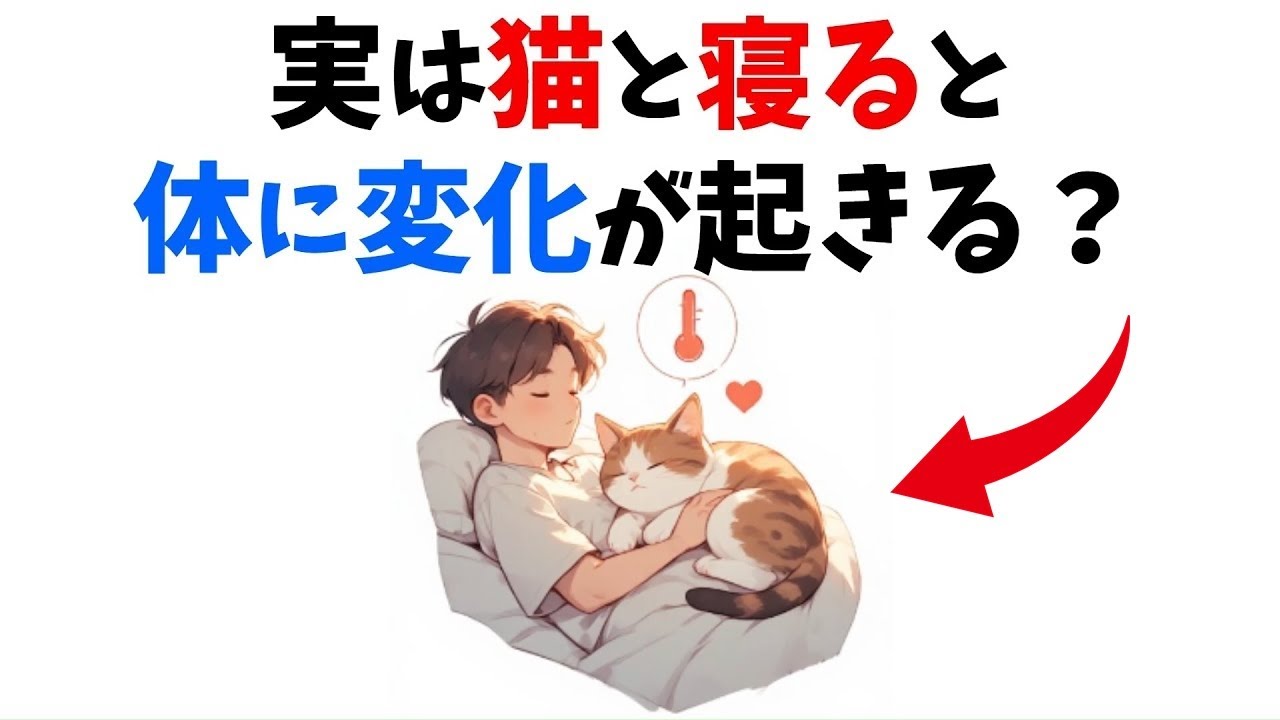 【寝る前に知っとこ】猫と一緒に寝ると起きること12選