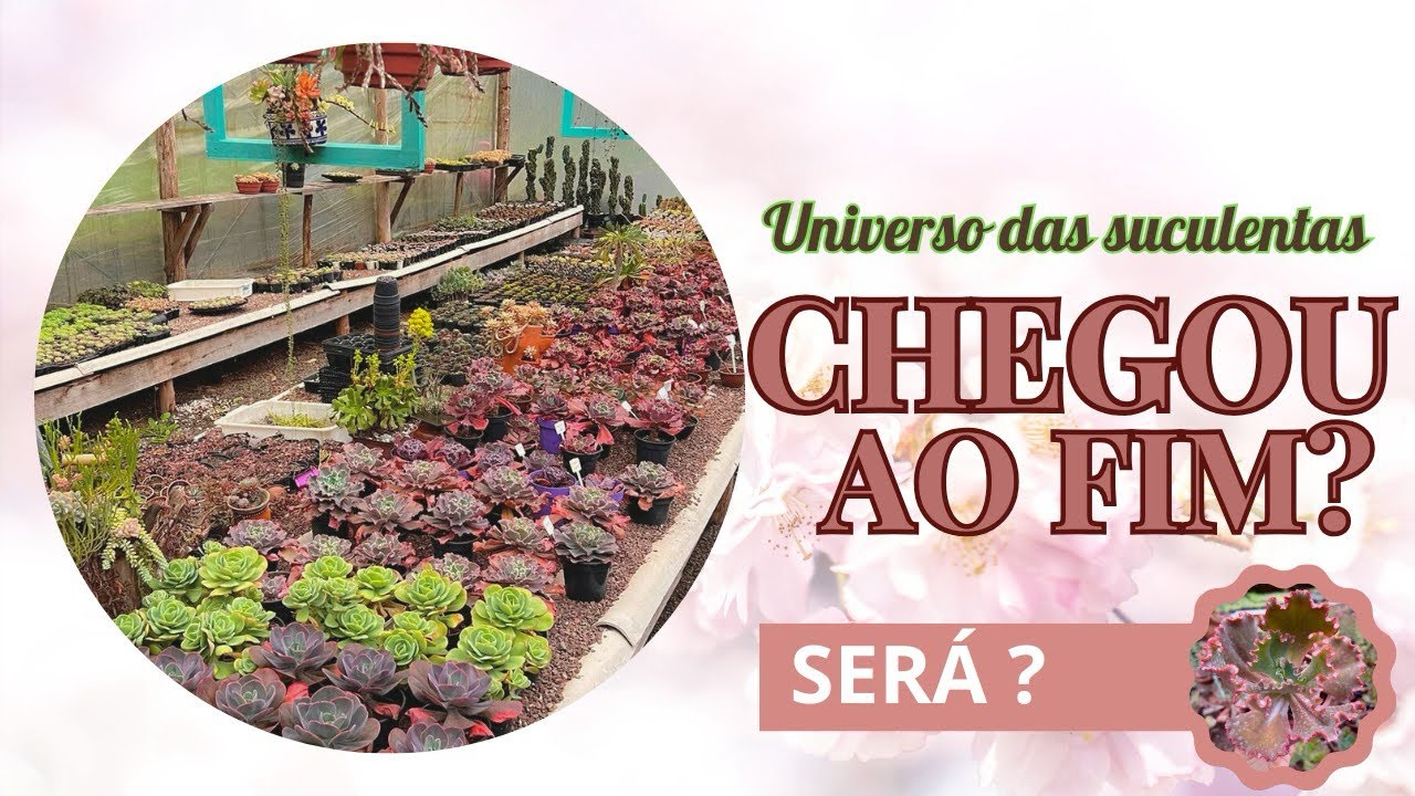 Está tudo acabado!!! Será ??