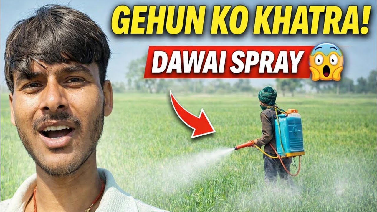 Subah Subah Khet Mein Dawai Chhidkaai 🚜 | Village Vlog