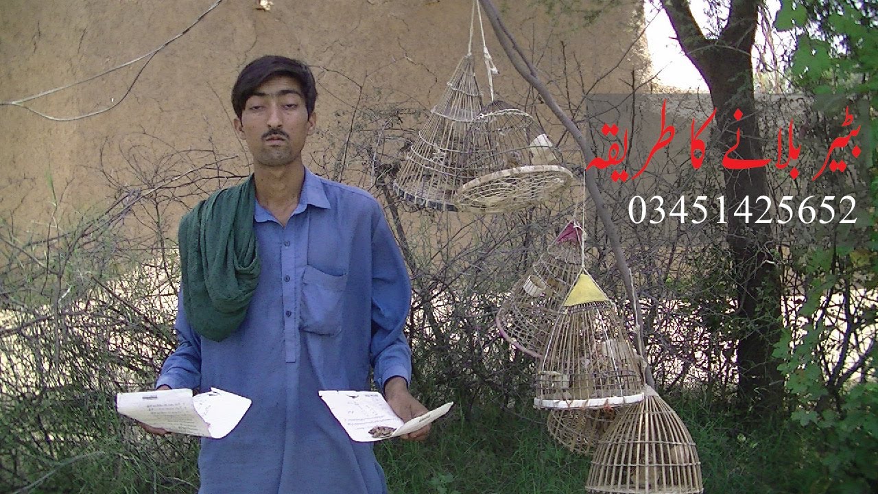 batair ko bulane ka tarika||batair ko kisay bulwatay hin 2023| new batair ko bolwany ka tariqa