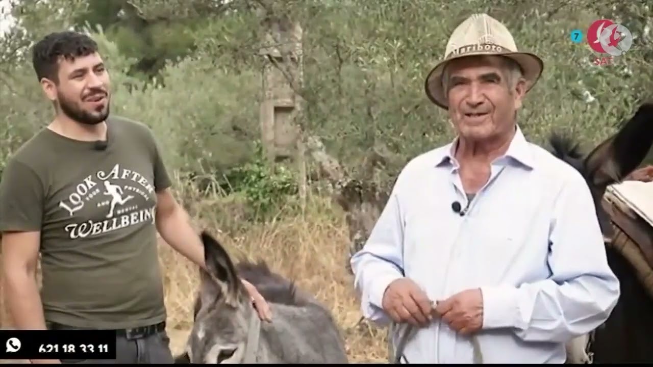 Los 