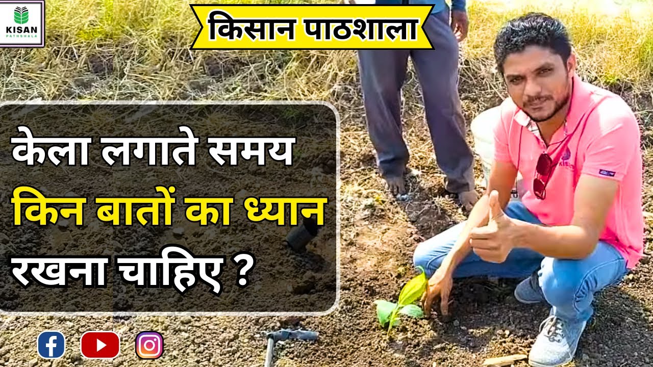 450- BANANA FARMING Using RAINWATER|Banana Sapling sowing|Farming videos |किसान पाठशाला BALRAM KISAN