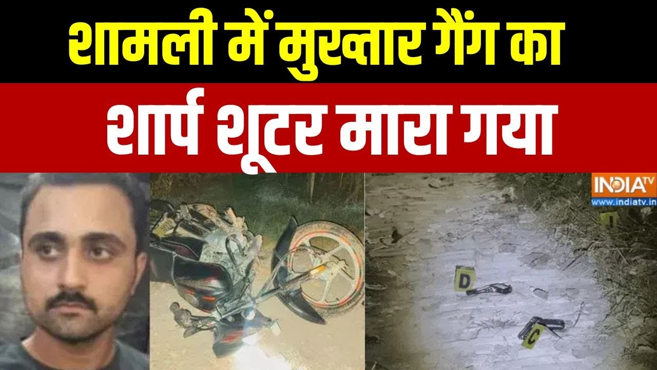 Aaj Ki Badi Khabar Full: शामली में मुख्तार गैंग का शार्प शूटर मारा गया | Mukhtar Gang Gangster