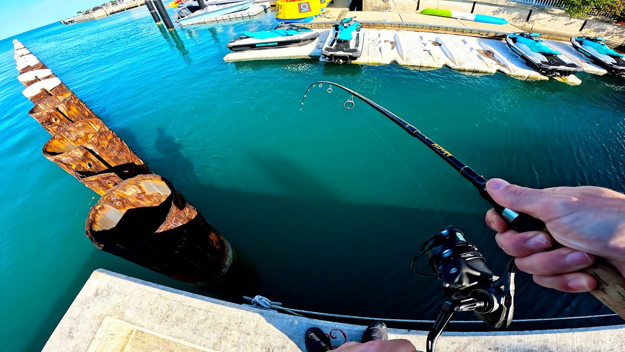 Key West Shore Fishing Spot Tour + Underwater
